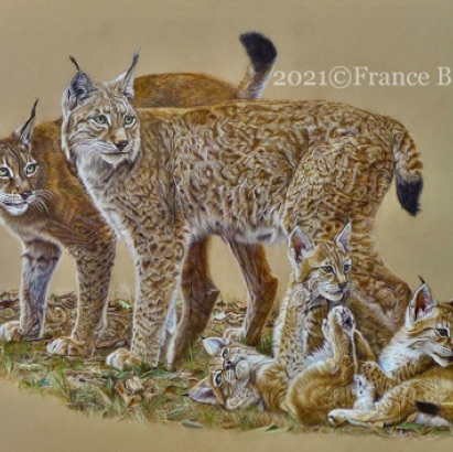 Intruder alert! - 166 hours
Sand Pastelmat Board
19.5" x 27.5"
Special Merit LightSpaceTime 21